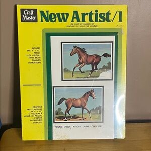 😄Vintage sealed paint by numbers horses